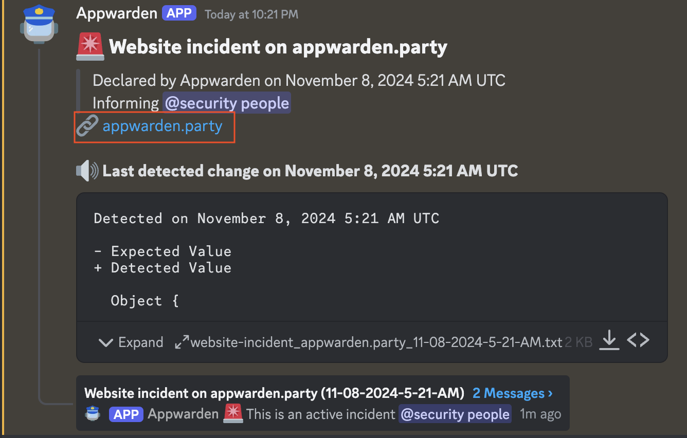 Links listed in `dns.options.links` and `websites.options.links` appear in an incident message
